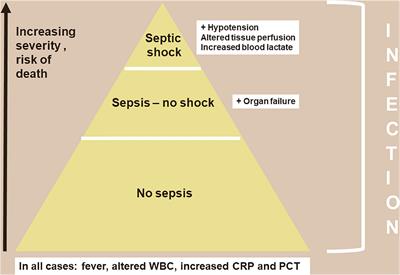 Sepsis and infection: Two words that should not be confused
